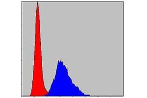 Flow cytometric analysis of NIH/3T3 cells using KID mouse mAb (blue) and negative control (red). (KIF22 anticorps)