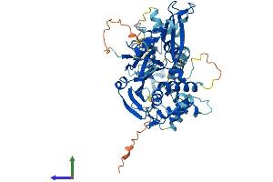 AlphaFold protein structure predicition of Human Recombinant USP22 Protein, UniprotID Q9UPT9