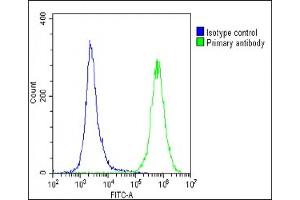 Overlay histogram showing U-2 OS cells stained with (ABIN656946 and ABIN2846135)(green line).