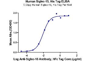 Immobilized Human Siglec-15, His Tag at 0.