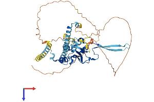 AlphaFold protein structure predicition of Human Recombinant NAP1L2 Protein, UniprotID Q9ULW6