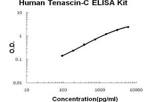 Human Tenascin-C PicoKine ELISA Kit standard curve