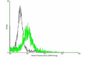 FACS analysis of negative control 293 cells (Black) and SMAD6 expressing 293 cells (Green) using SMAD6 purified MaxPab mouse polyclonal antibody.