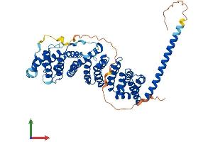 AlphaFold protein structure predicition of Human Recombinant PPP2R5B Protein, UniprotID Q15173