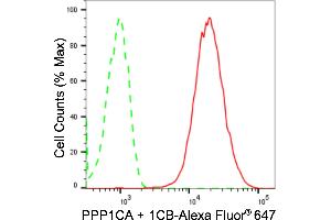 Flow cytometric analysis of PPP1CA + 1CB expression in HepG2 cells using PPP1CA + 1CB antibody (ABIN7799892), 1:2,000). (Recombinant PPP1CA + 1CB anticorps)