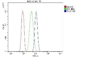 Flow Cytometry analysis of HL-60 cells using anti-Thioredoxin 2/TXN2 antibody (ABIN7602148). (TXN2 anticorps  (AA 60-166))