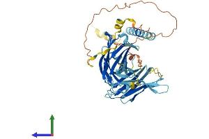 AlphaFold protein structure predicition of Human Recombinant SYT12 Protein, UniprotID Q8IV01