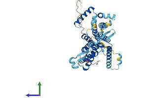 AlphaFold protein structure predicition of Human Recombinant CDS1 Protein, UniprotID Q92903