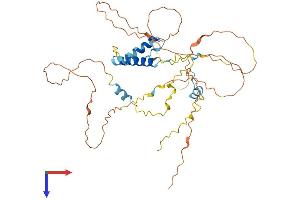 AlphaFold protein structure predicition of Mouse Recombinant S100pbp Protein, UniprotID Q9D5K4