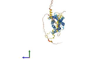 AlphaFold protein structure predicition of Human Recombinant GPR150 Protein, UniprotID Q8NGU9