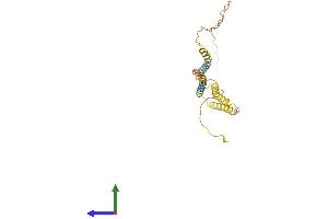 AlphaFold protein structure predicition of Human Recombinant ODF4 Protein, UniprotID Q2M2E3