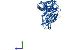 AlphaFold protein structure predicition of Human Recombinant AARSD1 Protein, UniprotID Q9BTE6