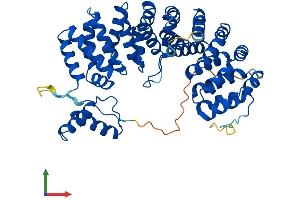 AlphaFold protein structure predicition of Human Recombinant ARMC6 Protein, UniprotID Q6NXE6