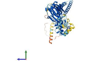 AlphaFold protein structure predicition of Human Recombinant ASIC5 Protein, UniprotID Q9NY37