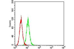Flow cytometric analysis of Hela cells using GRIK3 mouse mAb (green) and negative control (red).