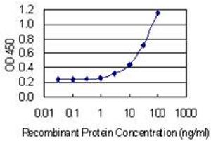 Detection limit for recombinant GST tagged OSTM1 is 1 ng/ml as a capture antibody.