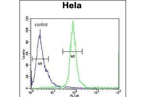 ESCO2 Antibody (Center) (ABIN654674 and ABIN2844369) flow cytometric analysis of Hela cells (right histogram) compared to a negative control cell (left histogram).