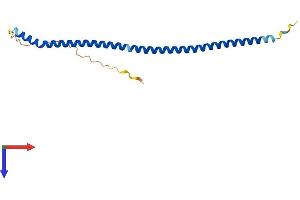 AlphaFold protein structure predicition of Human Recombinant BLOC1S6 Protein, UniprotID Q9UL45