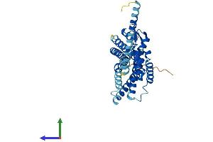 AlphaFold protein structure predicition of Mouse Recombinant P2ry1 Protein, UniprotID P49650
