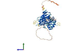 AlphaFold protein structure predicition of Mouse Recombinant Tfcp2l1 Protein, UniprotID Q3UNW5