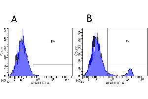 Flow-cytometry using anti-CD8beta antibody YTS 156. (Recombinant CD8B anticorps)