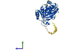 AlphaFold protein structure predicition of Human Recombinant GAPDHS Protein, UniprotID O14556