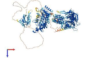 AlphaFold protein structure predicition of Human Recombinant NOS1 Protein, UniprotID P29475