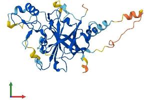 AlphaFold protein structure predicition of Mouse Recombinant Pdcd2 Protein, UniprotID P46718