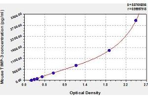 TIMP Metallopeptidase Inhibitor 3 (TIMP3) ELISA Kit
