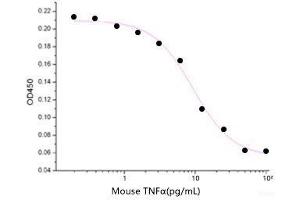 ELISA image for Tumor Necrosis Factor alpha (TNF alpha) (Active) protein (ABIN7320677)