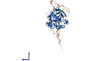 AlphaFold protein structure predicition of Mouse Recombinant Rhou Protein, UniprotID Q9EQT3