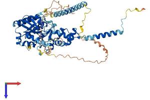AlphaFold protein structure predicition of Mouse Recombinant Gnl3 Protein, UniprotID Q8CI11