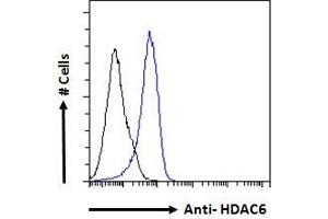 ABIN5539540 Flow cytometric analysis of paraformaldehyde fixed A431 cells (blue line), permeabilized with 0.