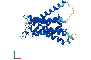 AlphaFold protein structure predicition of Human Recombinant PIGF Protein, UniprotID Q07326