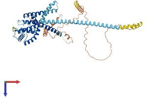 AlphaFold protein structure predicition of Human Recombinant KCNK10 Protein, UniprotID P57789