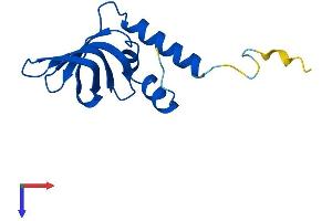 AlphaFold protein structure predicition of Mouse Recombinant Lsm10 Protein, UniprotID Q8QZX5