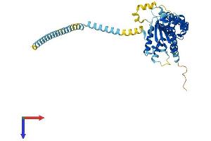 AlphaFold protein structure predicition of Human Recombinant ATAD3C Protein, UniprotID Q5T2N8