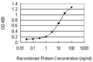 Detection limit for recombinant GST tagged WBSCR22 is 0.