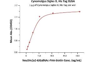 Immobilized Cynomolgus Siglec-9, His Tag (ABIN6951000,ABIN6952291) at 10 μg/mL (100 μL/well) on Nickel Coated plate, can bind Neu5Ac(a2-6)GalNAc-n with a linear range of 10-156 ng/mL (QC tested).