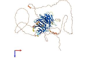 AlphaFold protein structure predicition of Human Recombinant DTL Protein, UniprotID Q9NZJ0