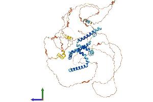 AlphaFold protein structure predicition of Human Recombinant RTN1 Protein, UniprotID Q16799