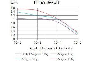 Black line: Control Antigen (100 ng), Purple line: Antigen(10 ng), Blue line: Antigen (50 ng), Red line: Antigen (100 ng), (MRPL42 anticorps  (AA 10-142))