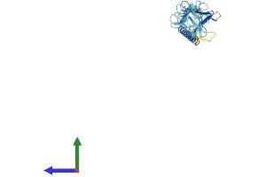 AlphaFold protein structure predicition of Human Recombinant SGCD Protein, UniprotID Q92629