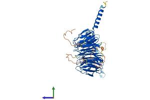 AlphaFold protein structure predicition of Human Recombinant WDR41 Protein, UniprotID Q9HAD4