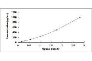 Corin, Serine Peptidase (CORIN) ELISA Kit