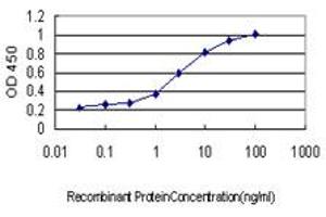 Detection limit for recombinant GST tagged DNAI2 is approximately 0. (DNAI2 anticorps  (AA 1-593))
