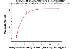 Immobilized Human ITGAV&ITGB8 Heterodimer Protein, His Tag&Tag Free (ABIN4949120,ABIN4949121) at 5 μg/mL (100 μL/well) can bind Biotinylated Human LAP ( 1), His,Avitag (ABIN6731275,ABIN6809946) with a linear range of 0. (TGFB1 Protein (AA 30-278) (His tag,AVI tag,Biotin))