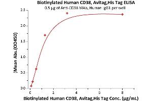 Immobilized A MAb, Human IgG1 at 5 μg/mL (100 μL/well) can bind Biotinylated Human CD38, Avitag,His Tag (ABIN3137679,ABIN5674028) with a linear range of 0.