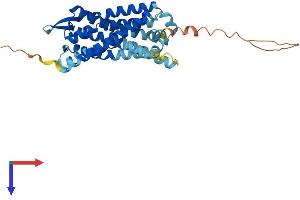 Leukotriene B4 Receptor (LTB4R) (AA 1-352) protein (His tag)