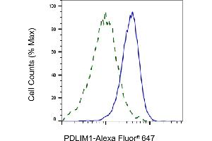 Validation of PDLIM1 knockdown using flow cytometry. (Recombinant PDLIM1 anticorps)